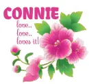 CONNIE.. love.. love.. loves it!