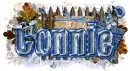 Connie - Denim First Name