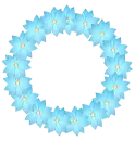 flower frame