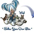 Mel - Rocks - Cat - Star