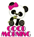 GOOD MORNING ðŸ¼