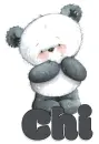 Chi's Panda Bear ðŸ¼
