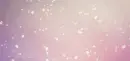 Cherry Blossom Falling
