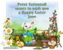 Peter Cottontail - Jane