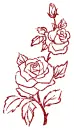 rose
