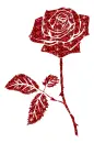 rose