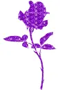 rose