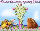 Easter Blessings
