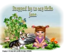 Dropped by - Jane