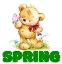SPRING ðŸ€