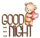 GOOD NIGHT ðŸ»