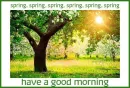 have a good morning ðŸŒ¸ðŸƒ