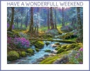 HAVE A WONDERFULL WEEKEND ðŸŒºðŸƒ