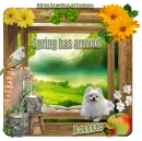 Spring has arrived - Jane