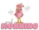 GOOD MORNING ðŸƒðŸŒ¸