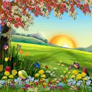 Spring / Summer background