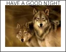 HAVE  GOOD NIGHT