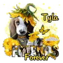 Tyla
