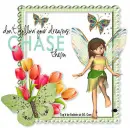 Chase Your Dreams