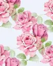 pink rosas