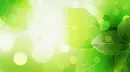 SPRING GREEN BACKGROUND