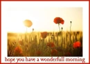 HAVE A WONDERFULL MORNING ðŸŒž