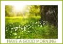 HAVE A GOOD MORNING ðŸŒ¸ðŸƒ