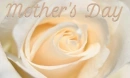 HAPPY MOTHER'S DAY ðŸŒ¸ðŸƒ