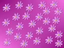 flower background