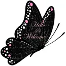 Hello & Welcome