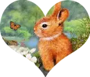Bunny Heart