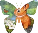 Bunny Butterfly