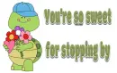 Turtle with flowers - Jane