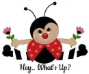 Hey.. What's Up?