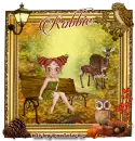 Autumn - Robbie