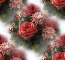red rosa