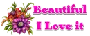 Beautiful Flowers