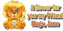 Cute Lion - Jane