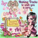 Ari ~ fg