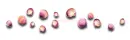Pink Seashells ~ div ~ fg