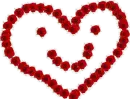 Red Smilie Heart