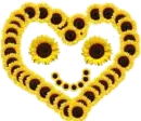 Sunflower Smile Face