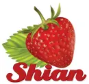 Shian â¥