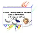 Mel - Cover You - Angel - Feathers