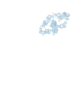 bubbles