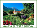 HAVE A BLESSED SUNDAY 