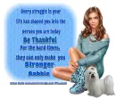 Every Struggle - Robbie