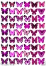 Pink  Butterflies