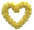 Yellow Rose Heart