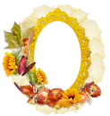 Oval Butterfly Frame